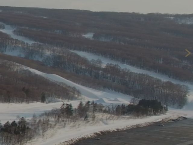 コースも色々あります！