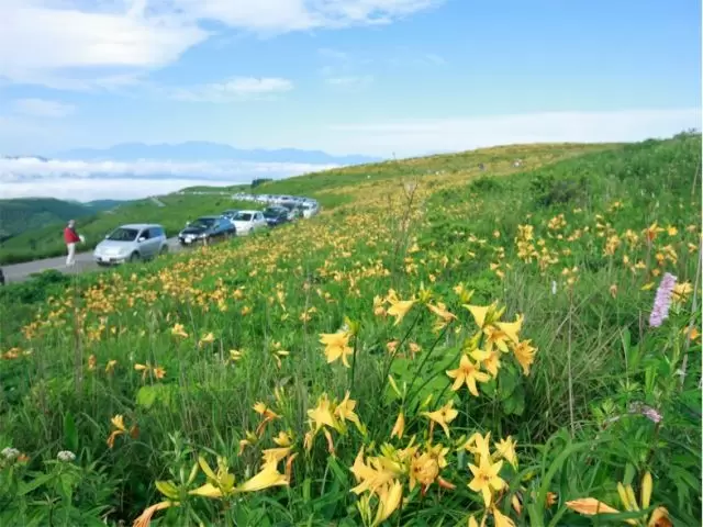 素敵な景色に癒されましょう♪