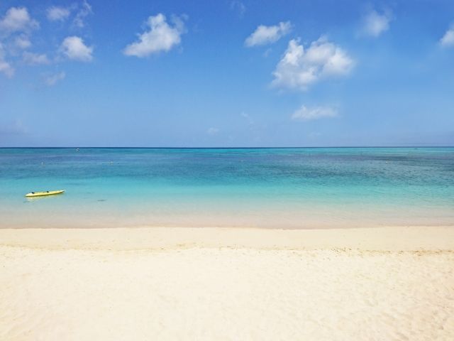 沖縄の中でも、本島北部は海がと～っても綺麗なんです！冬でも暖かいのでダイビングもできます！