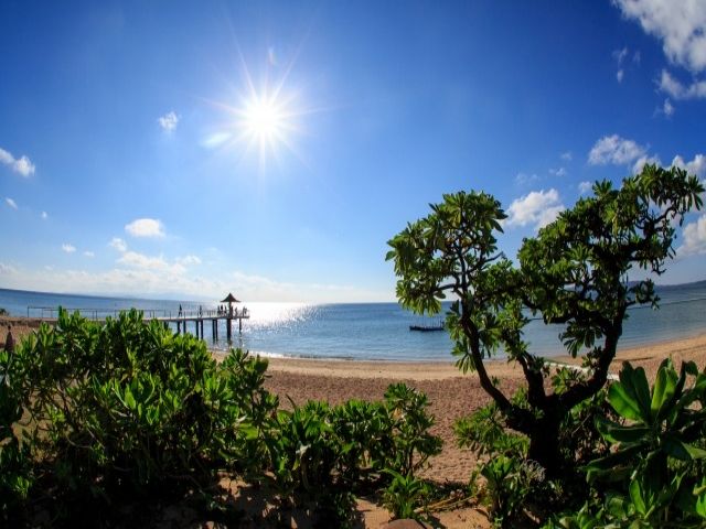 石垣島は観光スポットもたーくさん