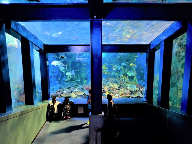 近場には鳥羽水族館もあります！観光も楽しめるエリア♪