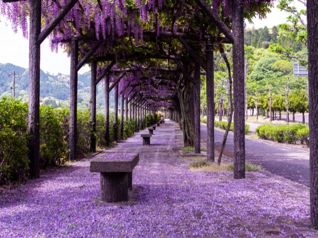 ご応募お待ちしております！