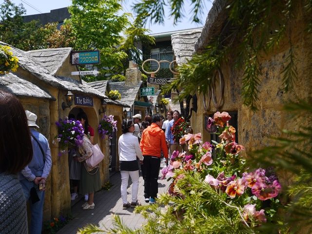 観光名所たくさん。寮でゆっくりするもよし、出歩くもよし、楽しみ方いっぱいです。