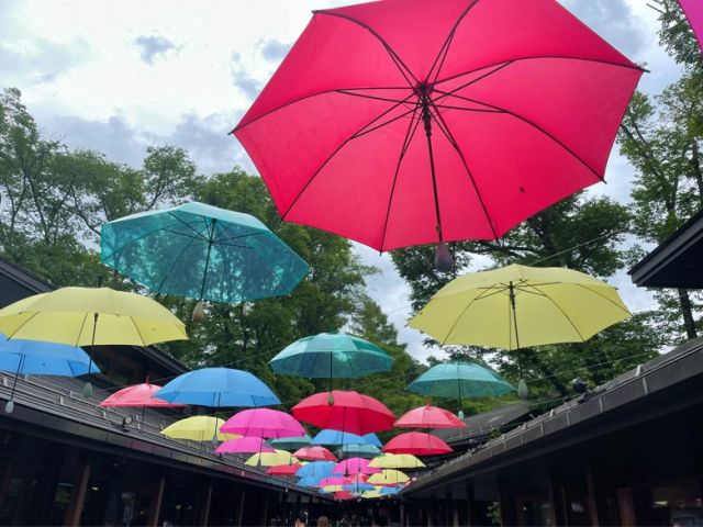 軽井沢を満喫しちゃいましょう(´▽｀*)