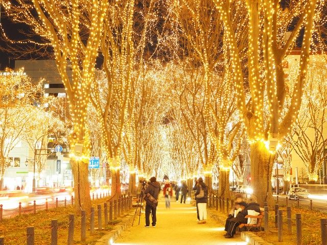 四季折々のイベントが催される仙台、冬の「光のページェント」は幻想的な風景が楽しめます♪