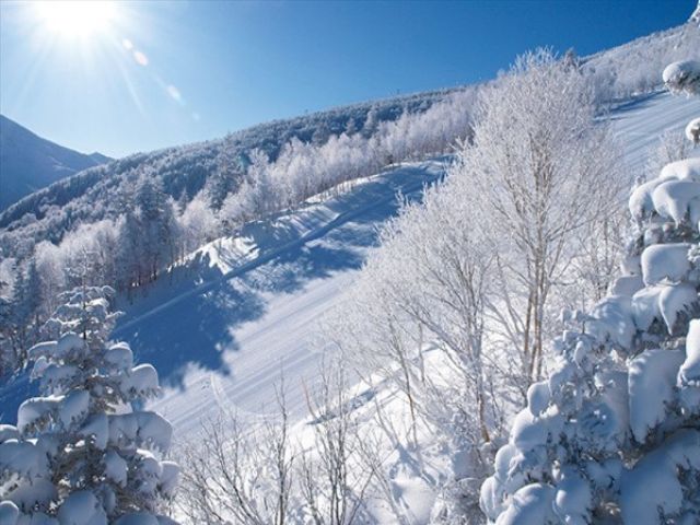 今年の冬はここで決まりですね。