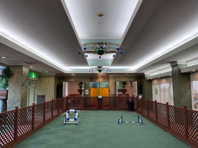 フロント前はドッグランスペースなので、
可愛い犬がたくさんいるかもです！？