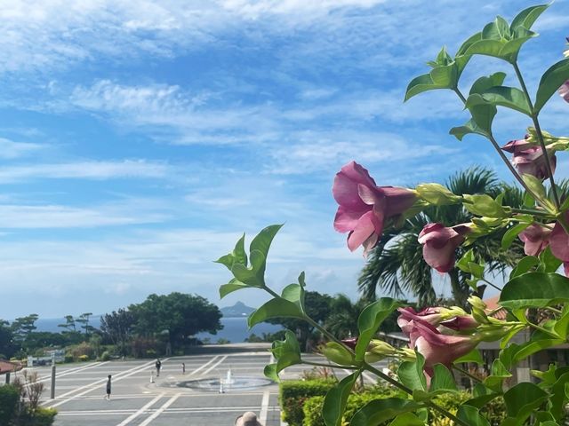 癒される景色もたっくさんあります。