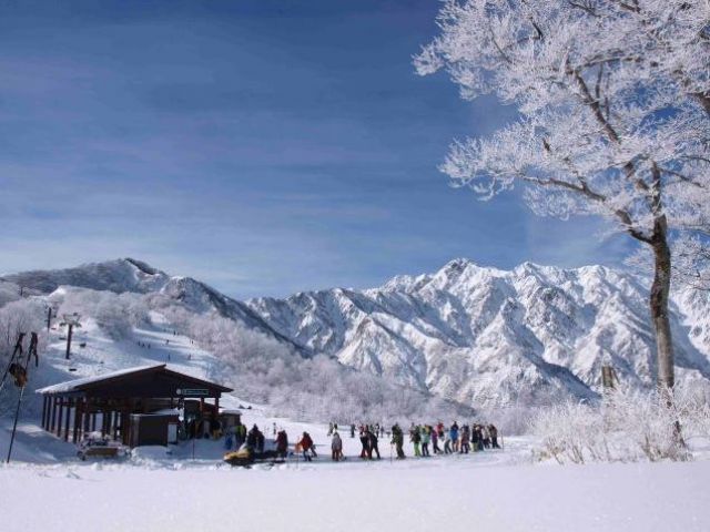 白馬といえば雪質！リフト券、レンタル無料です！