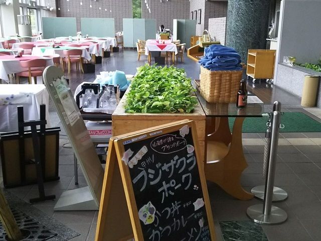 日差したっぷりのレストランが職場です