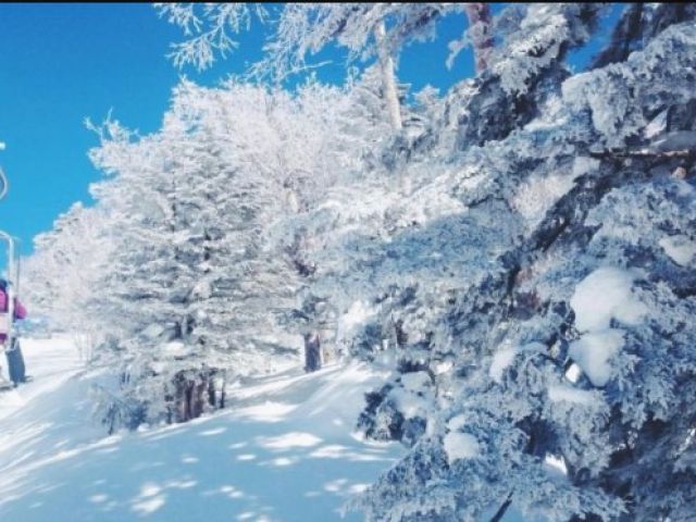 万座温泉スキー場のリフト券も無料で使用できるので
休日にスキーやスノーボードを楽しめます