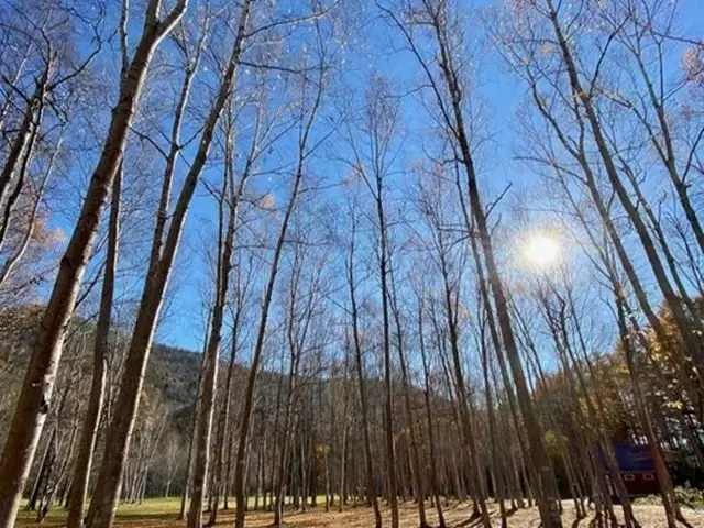 大自然エリア★札幌から約90分！