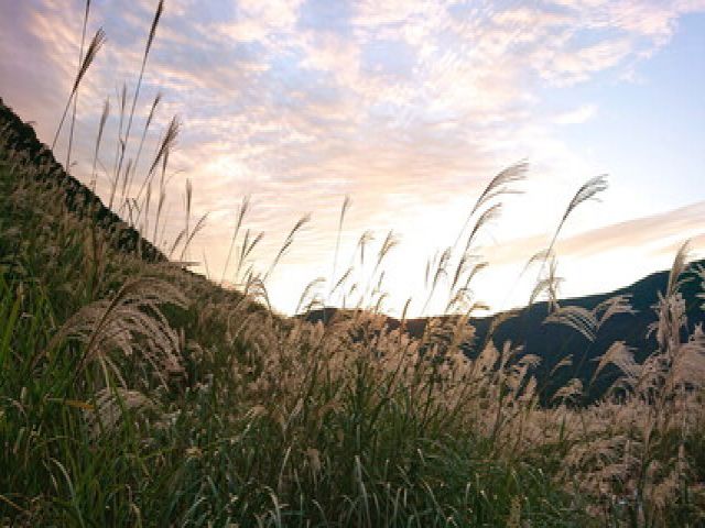 仙石原の地域！