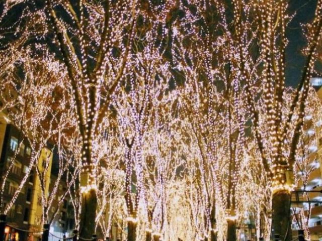 これからの時期は仙台駅前はイルミネーションがきれい！