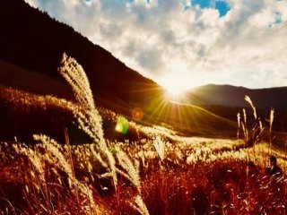 【人気の保養所♪】落ち着いた立地と人間関係が魅力的