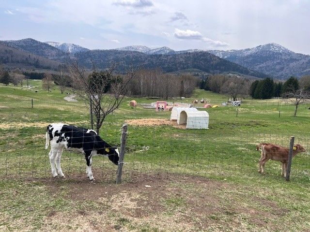 自然豊かで過ごしやすい環境です♪