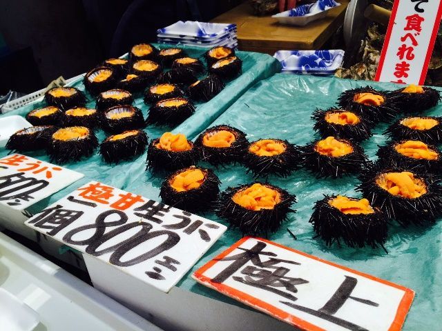 北陸の新鮮な海の幸を楽しむ!!