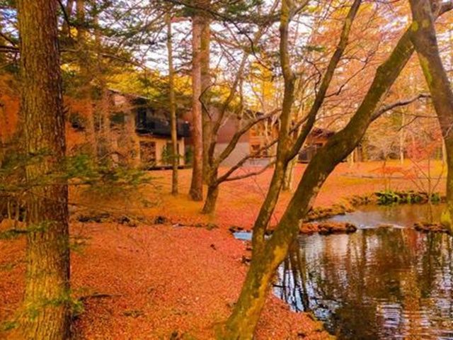 紅葉シーズン限定の短期のお仕事です★