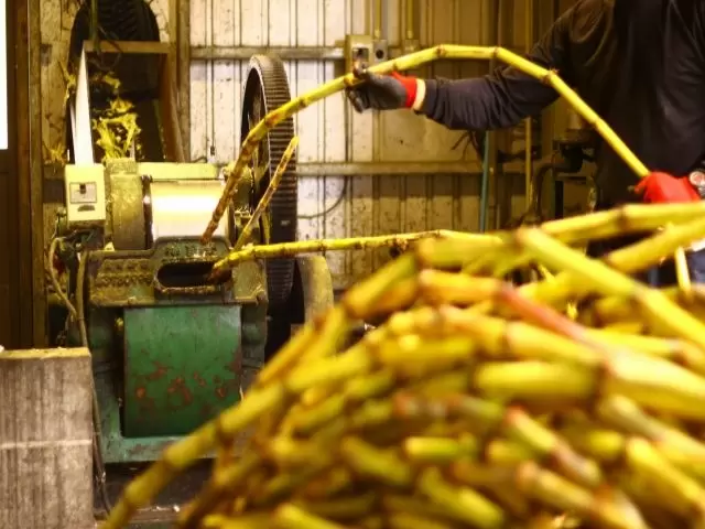 製糖工場は部署ごとに分かれているので作業はすぐに覚えられると思います♪