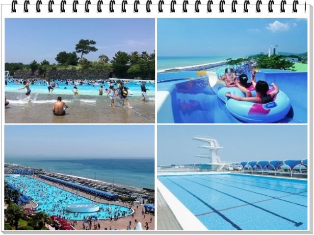 夏はプールが大人気の施設になります♪