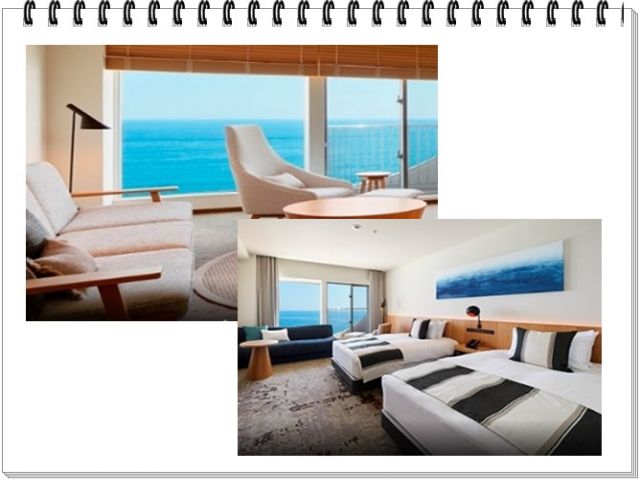 客室は海が一望できます