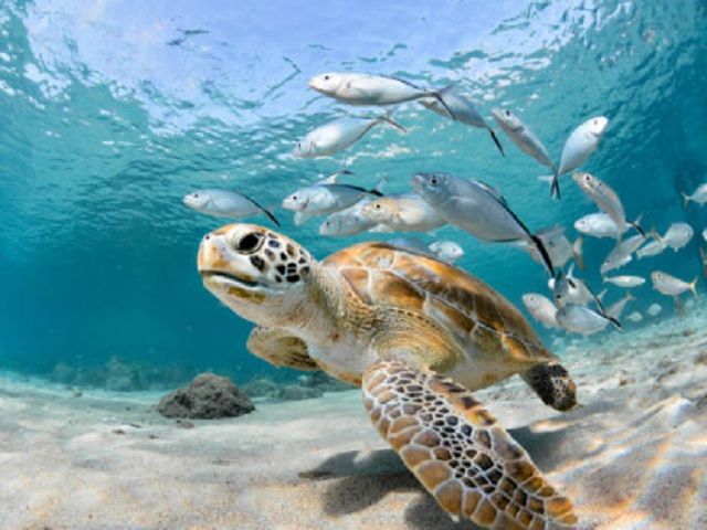 海も山も満喫できます！