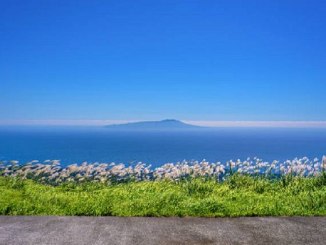 海も山もある伊豆高原！！大室山のお散歩は気持ち良いです♪