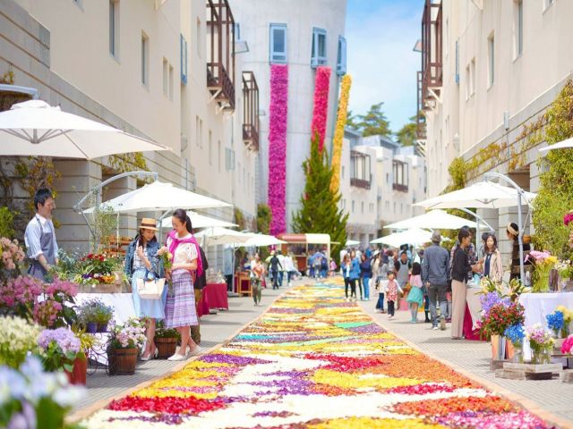 敷地も広いので色々なところを歩きながら見て回るのも楽しいですよ(o^―^o)