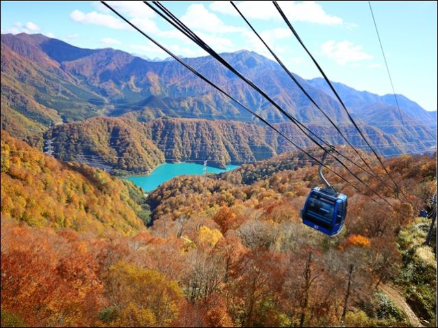 苗場の秋！紅葉を見に来るお客様をおもてなししてください！