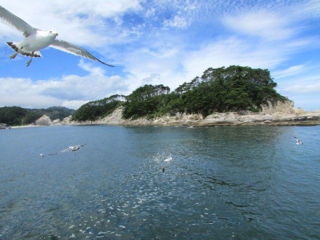 沿岸部にある「浄土ヶ浜（じょうどがはま）」も人気観光スポットです！