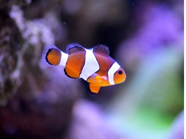休日はダイビングや釣りを楽しんでください！
