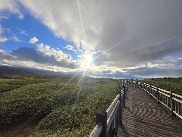 大人気の知床です♪