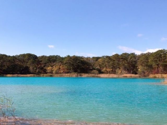自然豊かです☆