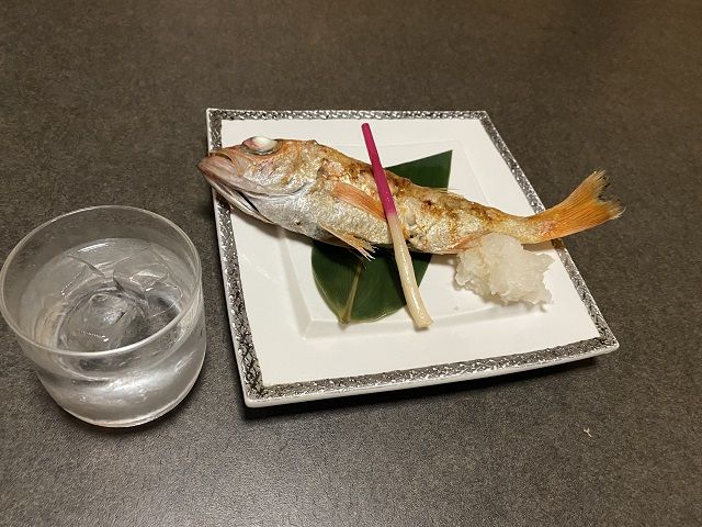 のどぐろ（アカムツ）が美味しい季節になりました!!!
