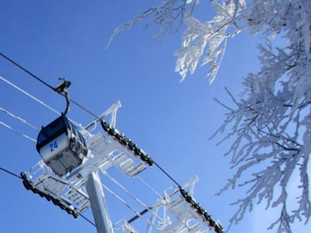 夏にはねぶた祭りもあります！