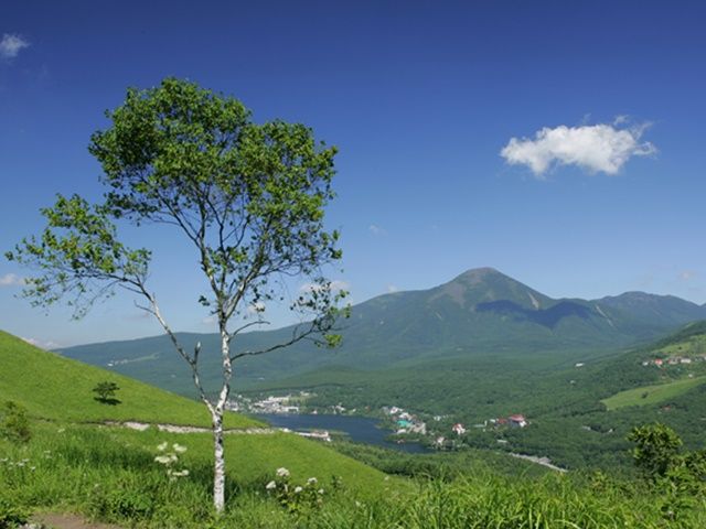 癒したっぷりの、のどかな自然でリフレッシュしませんか？