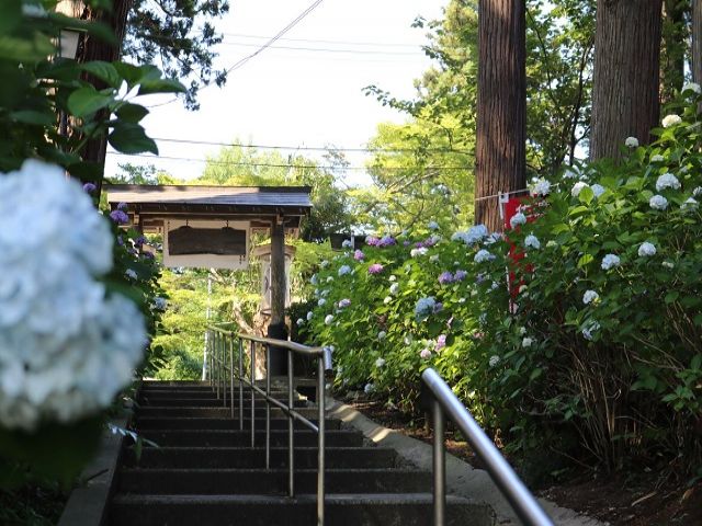 優しい方が多い島です！