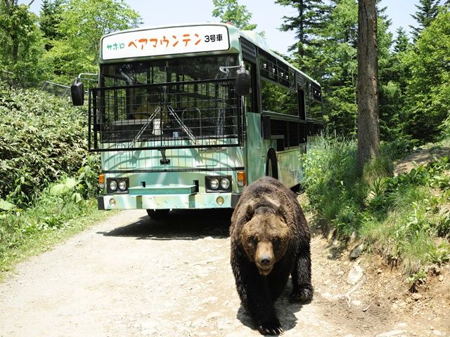 滅多にない超レア職種☆動物好き集まれっ！！！
