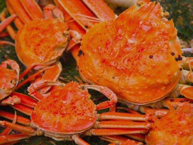 粟津温泉は、北陸最古の歴史ある温泉地です♪
口コミ評価も高い人気のお宿☆