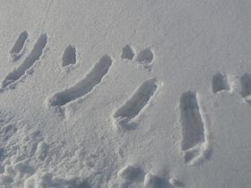 最高の思い出ができるかも