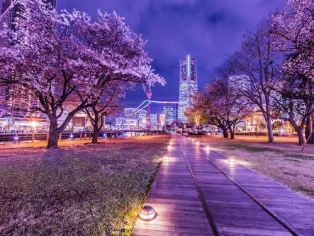 ☆横浜まで電車で１本！都心へのアクセスも◎