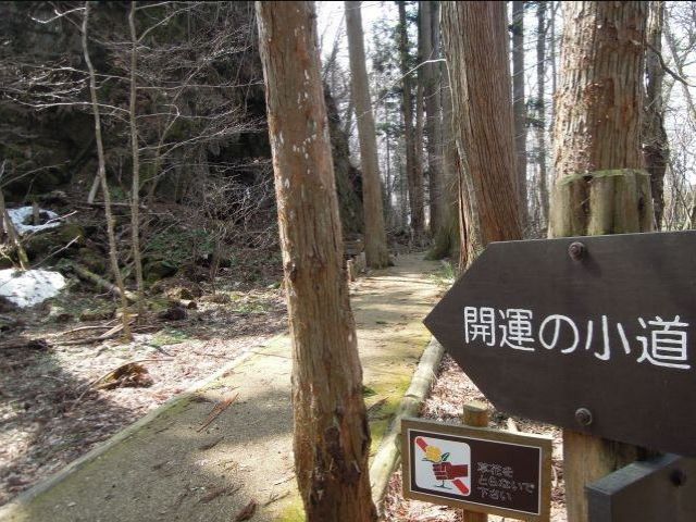 幸せになれる小道発見！
十和田湖畔には遊歩道が設置されているのでブラブラには最適♪