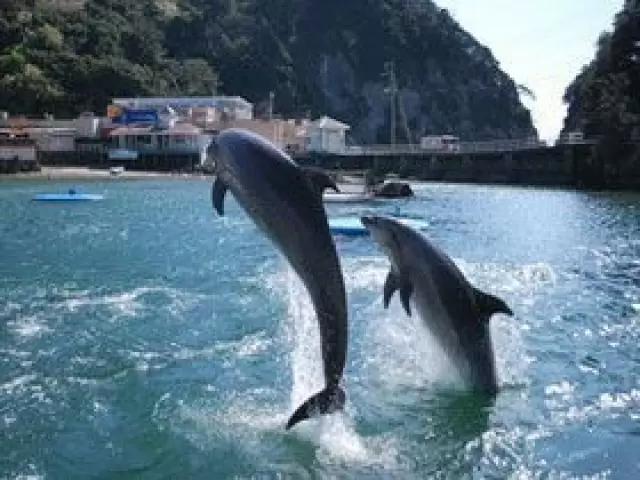 近くには水族館もあります♪