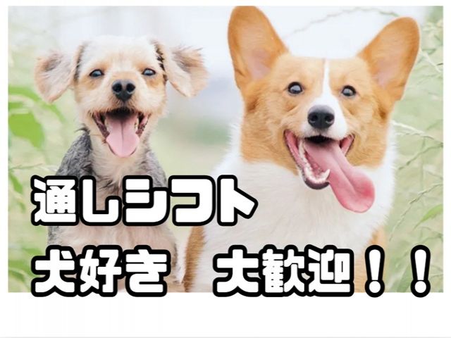 ワンちゃん好きな方大歓迎◆
20代の社員さんも多く、わいわいした働きやすい職場です!!