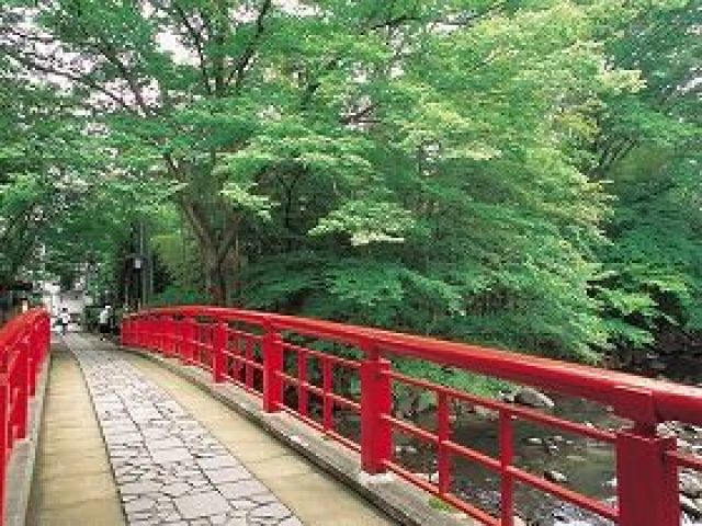 自然の中での観光名所が有ります。インスタ映えするスポットが多いです(*´ω｀*)