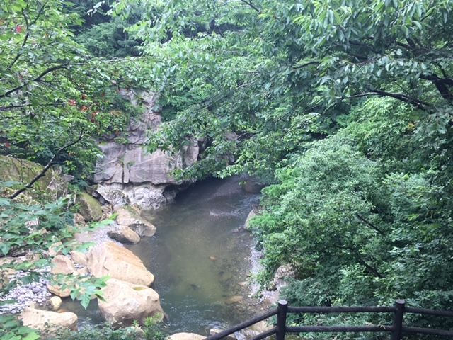 自然もあります！