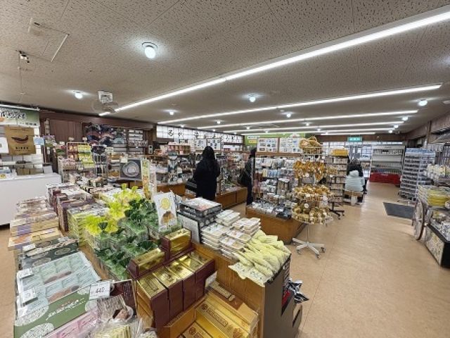 路線バスを使えば…日光の社寺や華厳の滝、中禅寺湖なんかにも行けちゃいます。