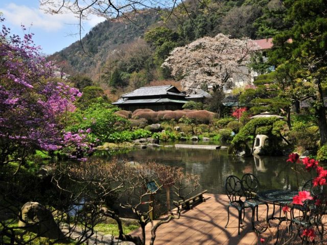 旅館の中庭★四季折々の景色の移ろいは圧巻の一言！