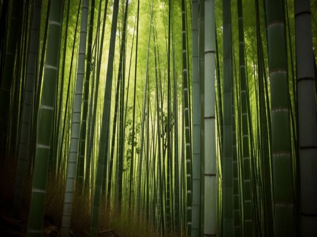 地元の良さを再発見！！