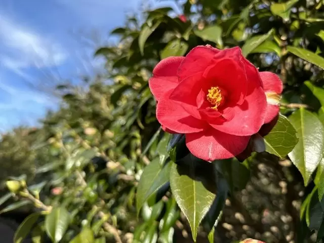 大人気の離島のお仕事です～♪